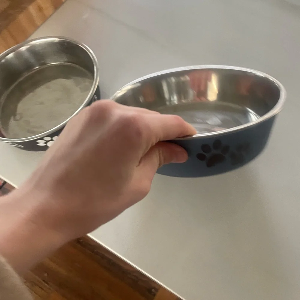 Dog Bowls (2)